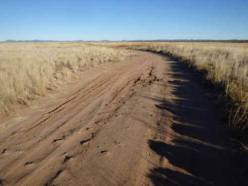 GDMBR: This road is OK.
